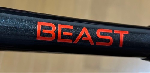 Prince beast 300g - beast, db